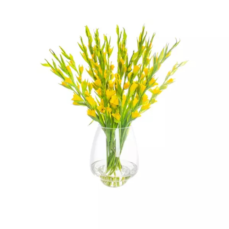 Yellow Gladiolus Arrangement